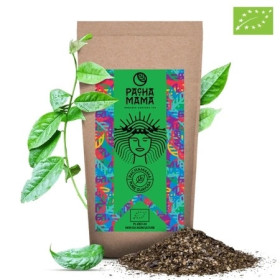 Guayusa